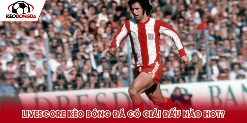 LiveScore kèo bóng đá có giải đấu nào hot?