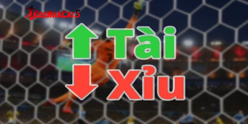 Chuẩn chỉ cách đọc các tỷ lệ kèo tài xỉu phổ biến nhất