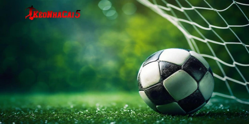 Kinh nghiệm soi kèo tài xỉu xương máu